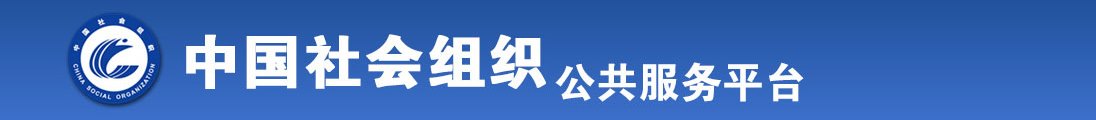 用力插入白虎全国社会组织信息查询